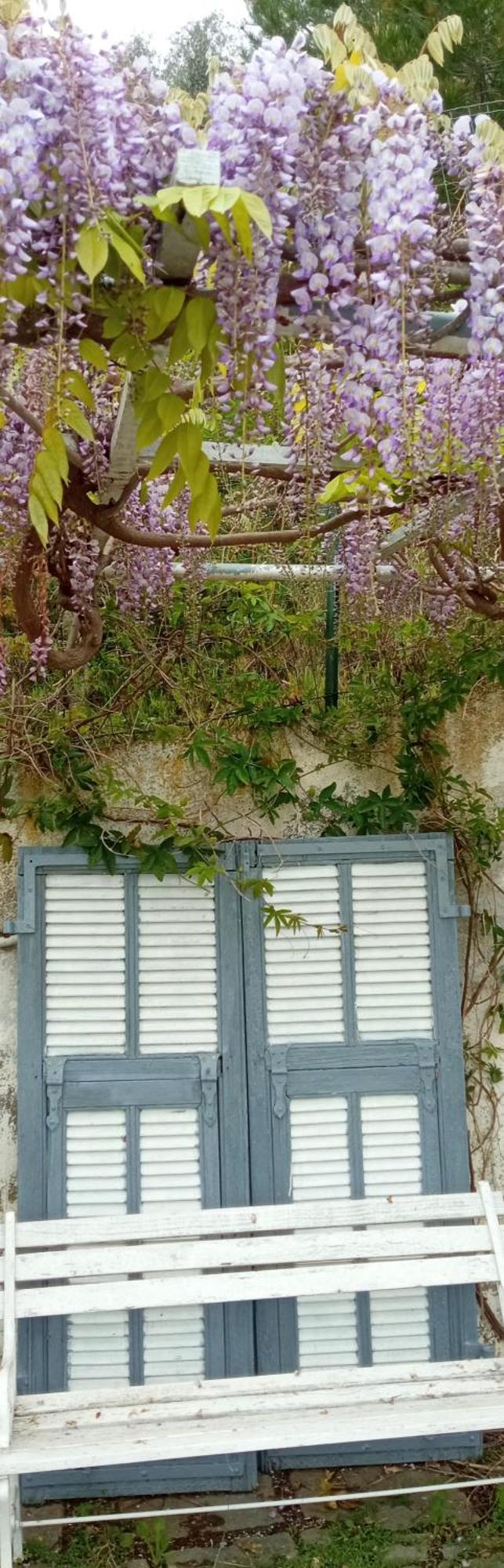 Message In A Bottle Bed And Breakfast Camporosso  Extérieur photo
